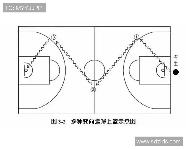 南京篮球队的战术解析与控制策略深度剖析