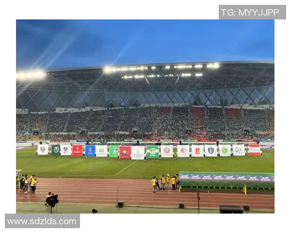 贵阳足球明星是谁揭秘他在绿茵场上的辉煌成就与影响力