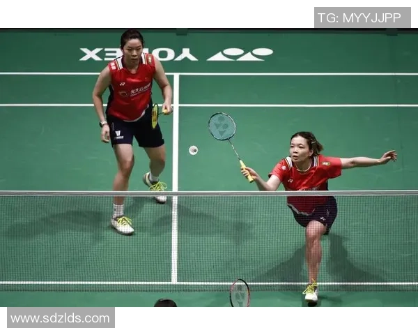 西安羽毛球队包夹战术分析及其在比赛中的成效与不足之处