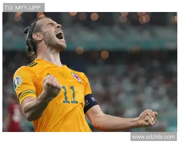 足球明星贝尔在2023年几岁他的职业生涯与成就回顾